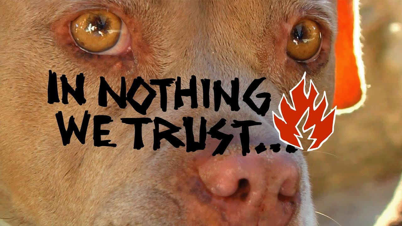 "IN NOTHING WE TRUST'"<br />A new video by Black Label Skateboards.<br />Featuring Elijah Akerley & Nick Peterson with appearances by Jake Reuter, Jason Adams, Omar Hassan, Patrick Ryan, Lukas Wong, and Matt Mehl.<br /><br />Filmed and Edited by Adam Anorga<br /><br />All footage property of Black Label Skateboards and cannot be redistributed without permission.<br /><br />All music belongs to their respective artists, labels, and distributors.<br /><br />Black Label Skateboards 2025©