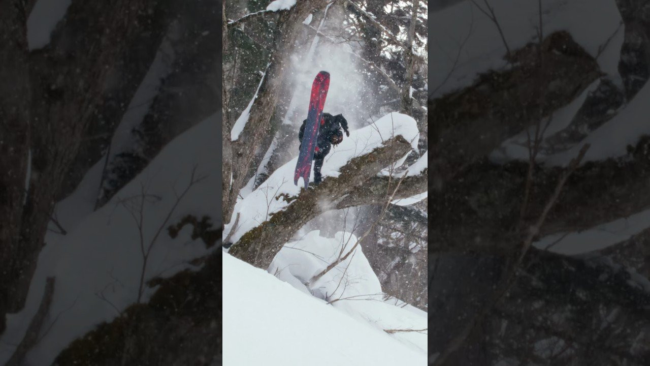 Enjoy the videos and music you love, upload original content, and share it all with friends, family, and the world on YouTube.