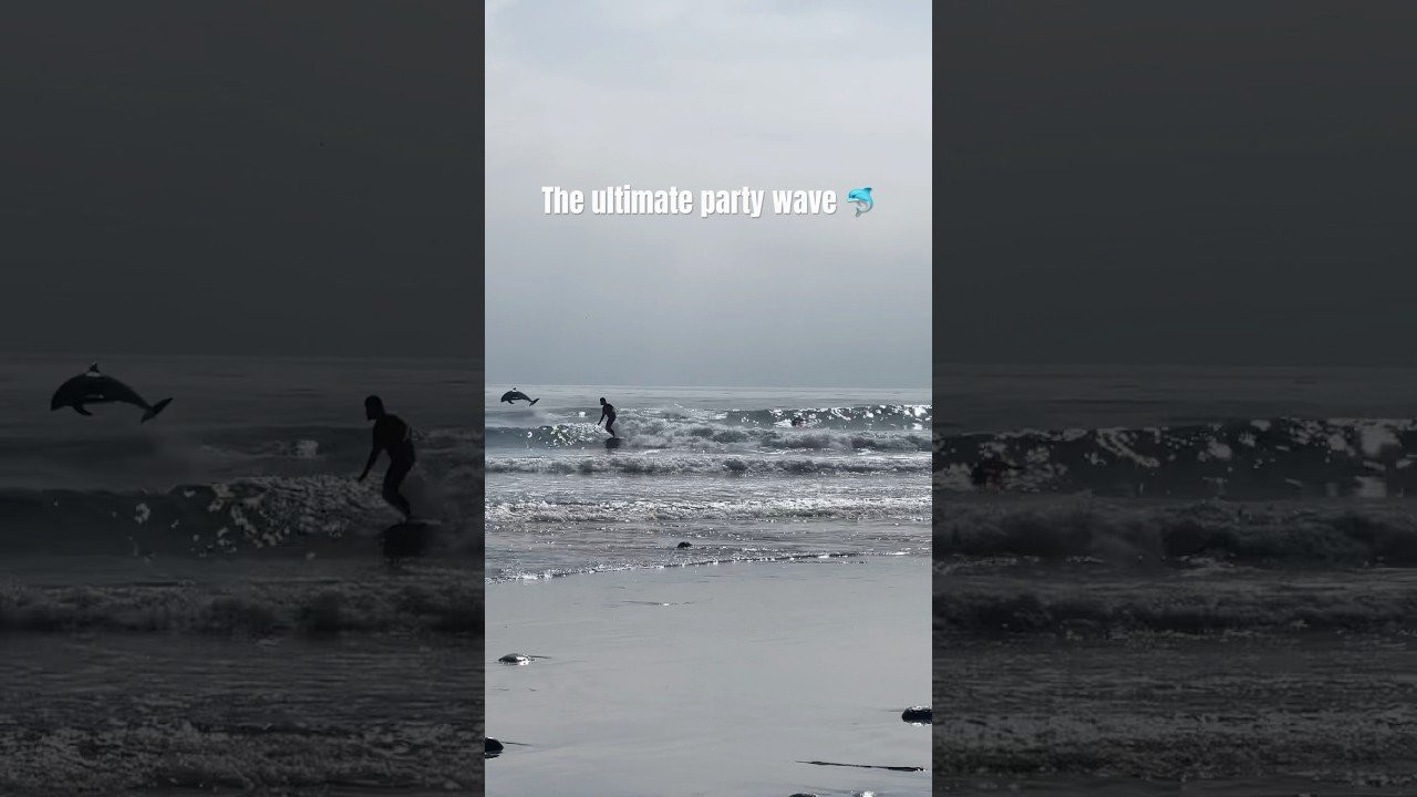 Enjoy the videos and music you love, upload original content, and share it all with friends, family, and the world on YouTube.