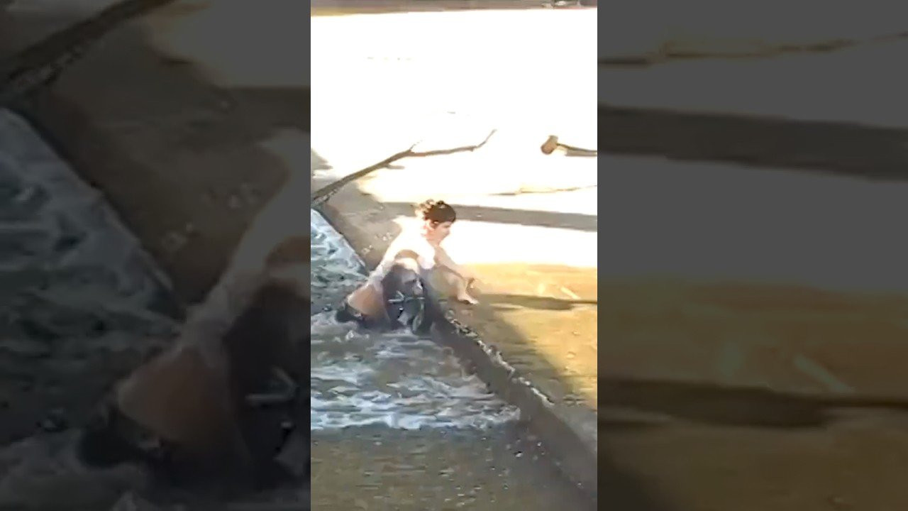 NEW DIG APPAREL https://shop.digbmx.com/collections/APPAREL-AND-MORE<br />-----<br /><br />Alex Liiv coming up short for Bone Deth. <br /><br />-----<br />Visit our website for more BMX videos - http://digbmx.com <br /><br />SUPPORT PROJECT X https://shop.digbmx.com/collections/project-x <br />SUBSCRIBE to the DIG channel for more videos - http://bit.ly/DigBMX<br /><br /> ● Facebook - https://facebook.com/digbmx <br /> ● Instagram - https://instagram.com/digbmx <br /> ● Twitter - https://twitter.com/digbmx <br /><br />#BMX #DIGBMX