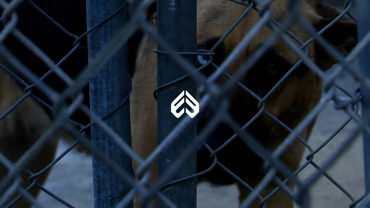 Collected across Winnipeg, Los Angeles, and Barcelona over the past couple of years, this new piece with Brandon Sawchyn captures a uniquely transformative chapter in his life.