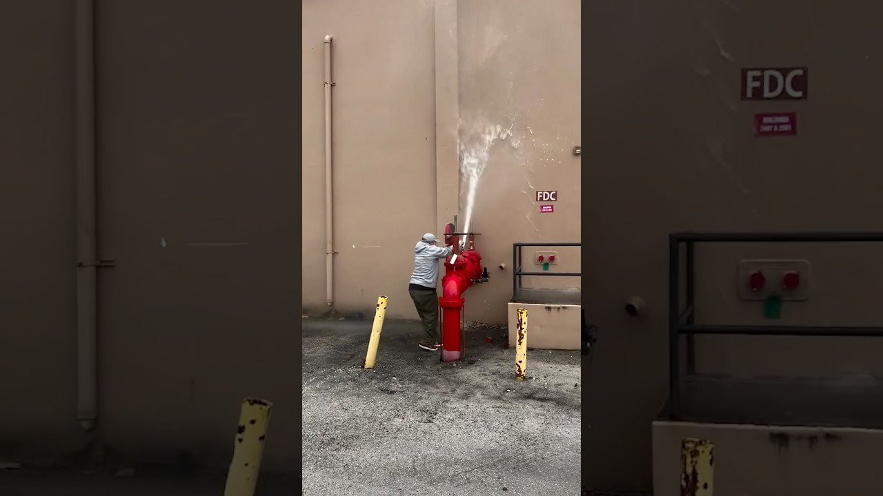 Enjoy the videos and music you love, upload original content, and share it all with friends, family, and the world on YouTube.