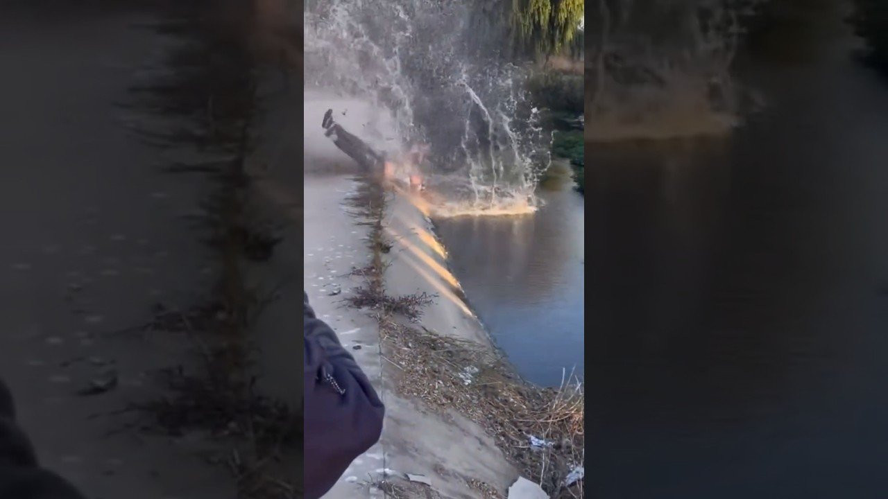 NEW DIG APPAREL https://shop.digbmx.com/collections/APPAREL-AND-MORE<br />-----<br /><br />Yonier Gomez ain't scared! <br /><br />-----<br />Visit our website for more BMX videos - http://digbmx.com <br /><br />SUPPORT PROJECT X https://shop.digbmx.com/collections/project-x <br />SUBSCRIBE to the DIG channel for more videos - http://bit.ly/DigBMX<br /><br /> ● Facebook - https://facebook.com/digbmx <br /> ● Instagram - https://instagram.com/digbmx <br /> ● Twitter - https://twitter.com/digbmx <br /><br />#BMX #DIGBMX