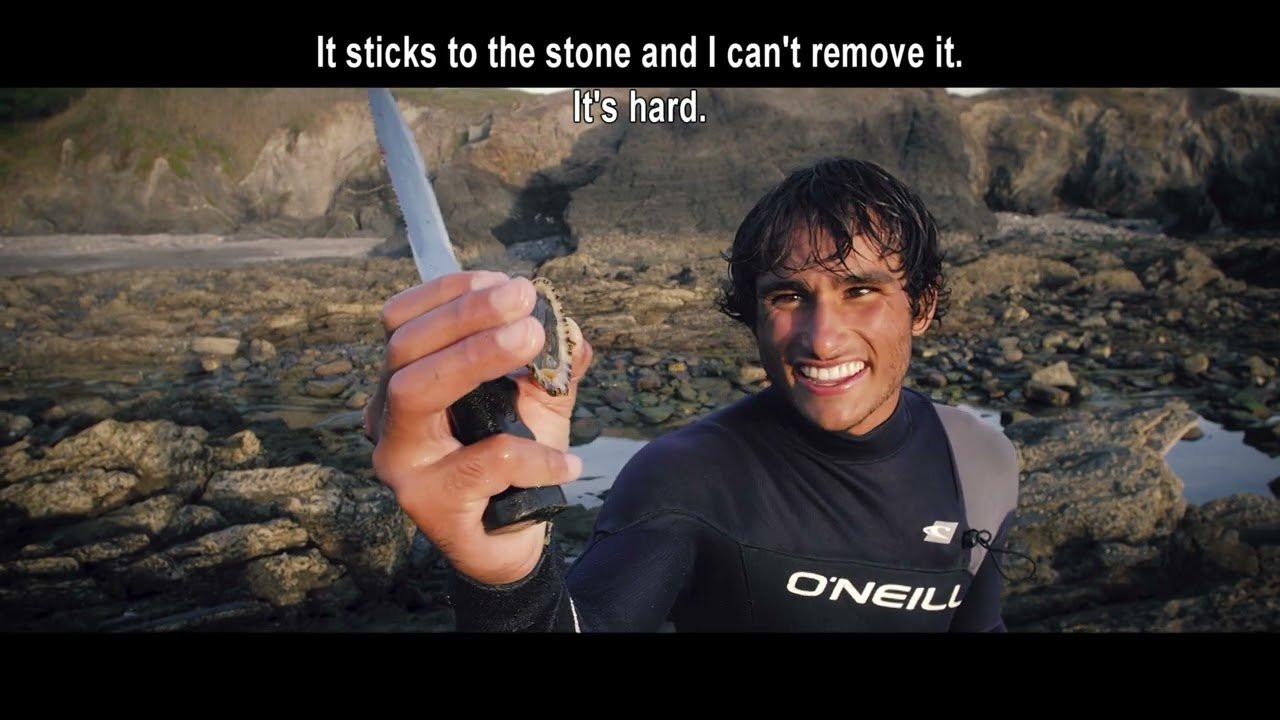 João Kopke continues to explore Portugal and discover the best that nature and Portuguese culture have to offer! See how João Kopke combines adrenaline and tranquility along the Coast of Freedom with the Riding Portugal series.<br /><br />🛹 Thanks for subscribing! 🛹 https://youtube.com/@FuelTV?sub_confirmation=1<br /><br />Watch more at https://fuel.tv