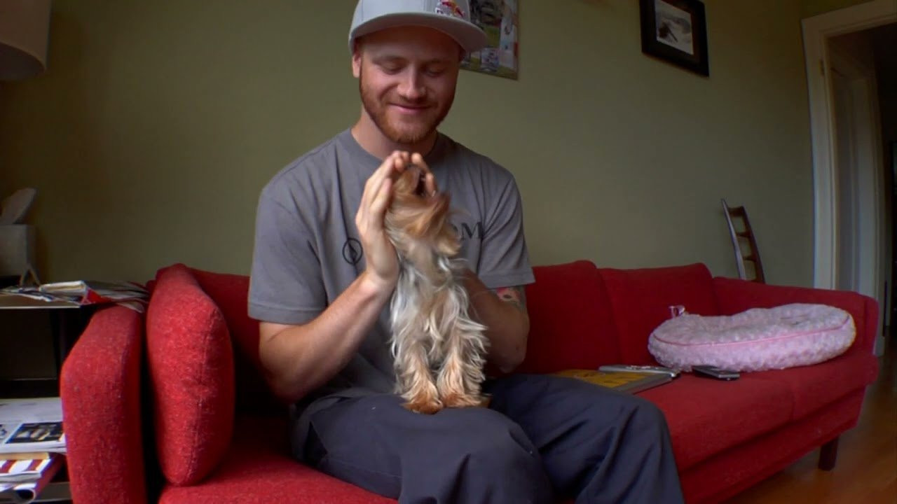 From Huge airs and lines in the backcountry, to rails and gaps in the street, check out one of Forum's top riders, Pat Moore, in this episode.<br /><br />🛹 Thanks for subscribing! 🛹 https://youtube.com/@FuelTV?sub_confirmation=1<br /><br />Watch more at https://fuel.tv