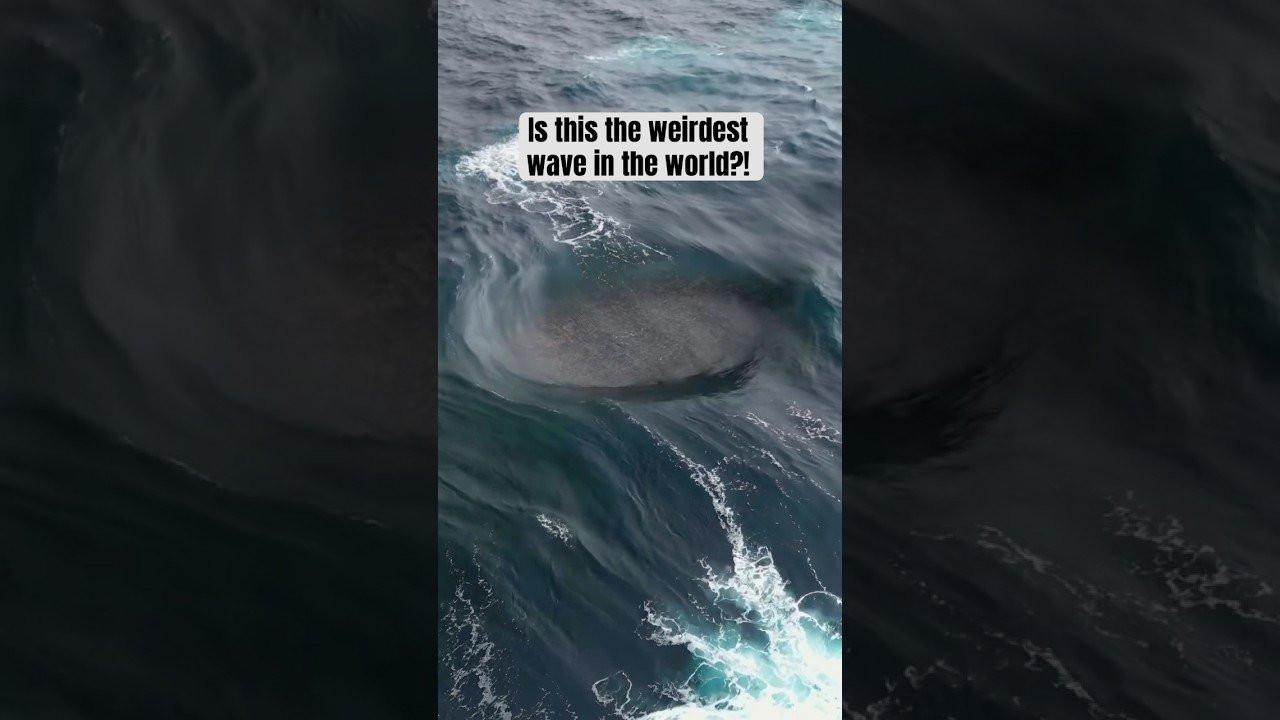 Enjoy the videos and music you love, upload original content, and share it all with friends, family, and the world on YouTube.