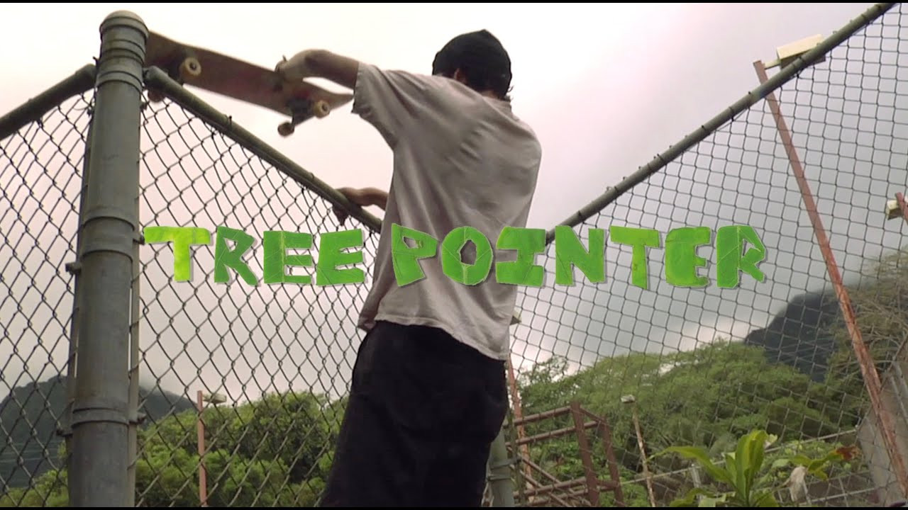 Partially muted due to copyrights.<br /><br />Unmuted version on Thrasher Mag<br /><br />https://www.thrashermagazine.com/articles/videos/apb-s-tree-pointer-video/<br /><br /><br />treevisions x mokelife 2016