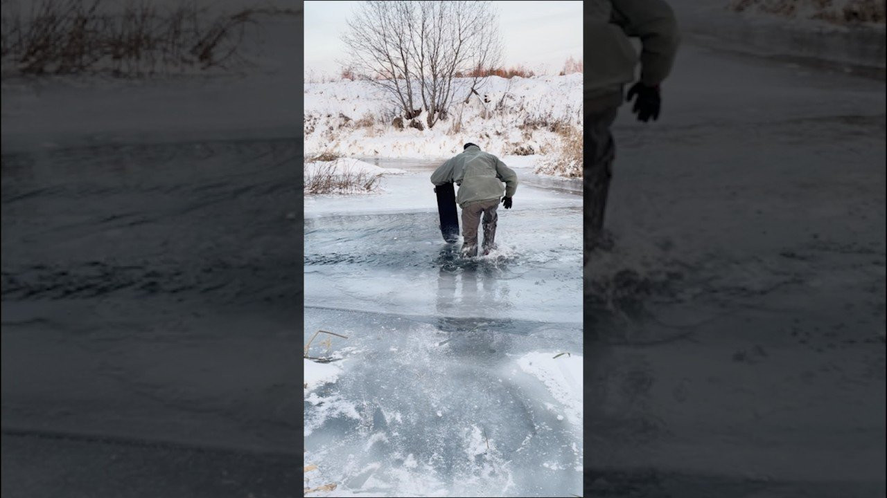 Enjoy the videos and music you love, upload original content, and share it all with friends, family, and the world on YouTube.