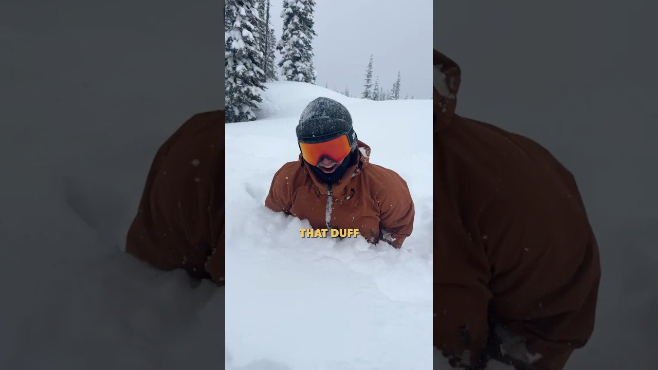 Enjoy the videos and music you love, upload original content, and share it all with friends, family, and the world on YouTube.