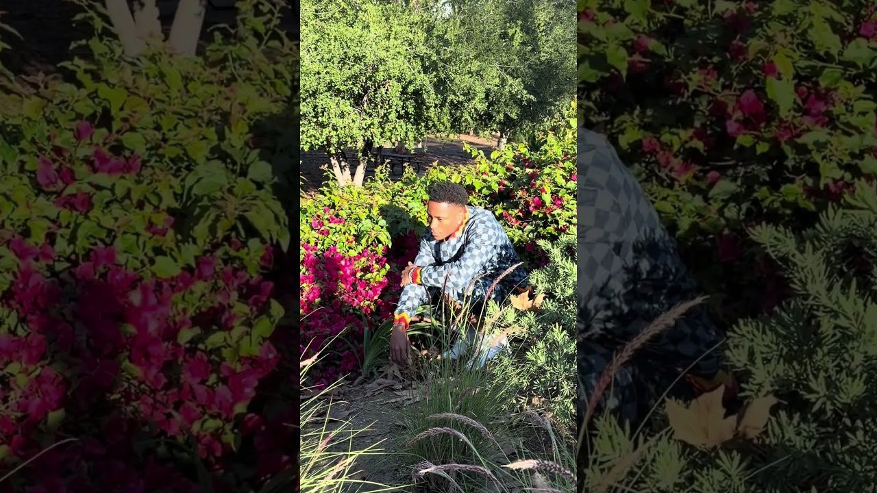 Enjoy the videos and music you love, upload original content, and share it all with friends, family, and the world on YouTube.