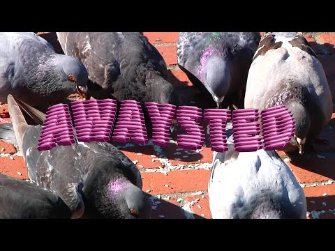 Enjoy the videos and music you love, upload original content, and share it all with friends, family, and the world on YouTube.