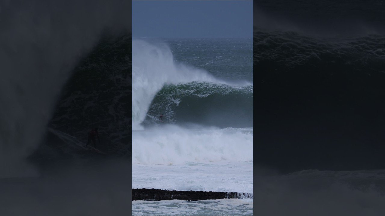 Enjoy the videos and music you love, upload original content, and share it all with friends, family, and the world on YouTube.