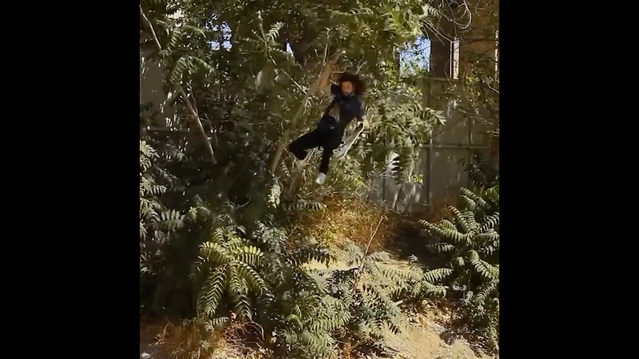 Follow em for more 👉 https://www.instagram.com/davermontmull?igsh=NTc4MTIwNjQ2YQ==