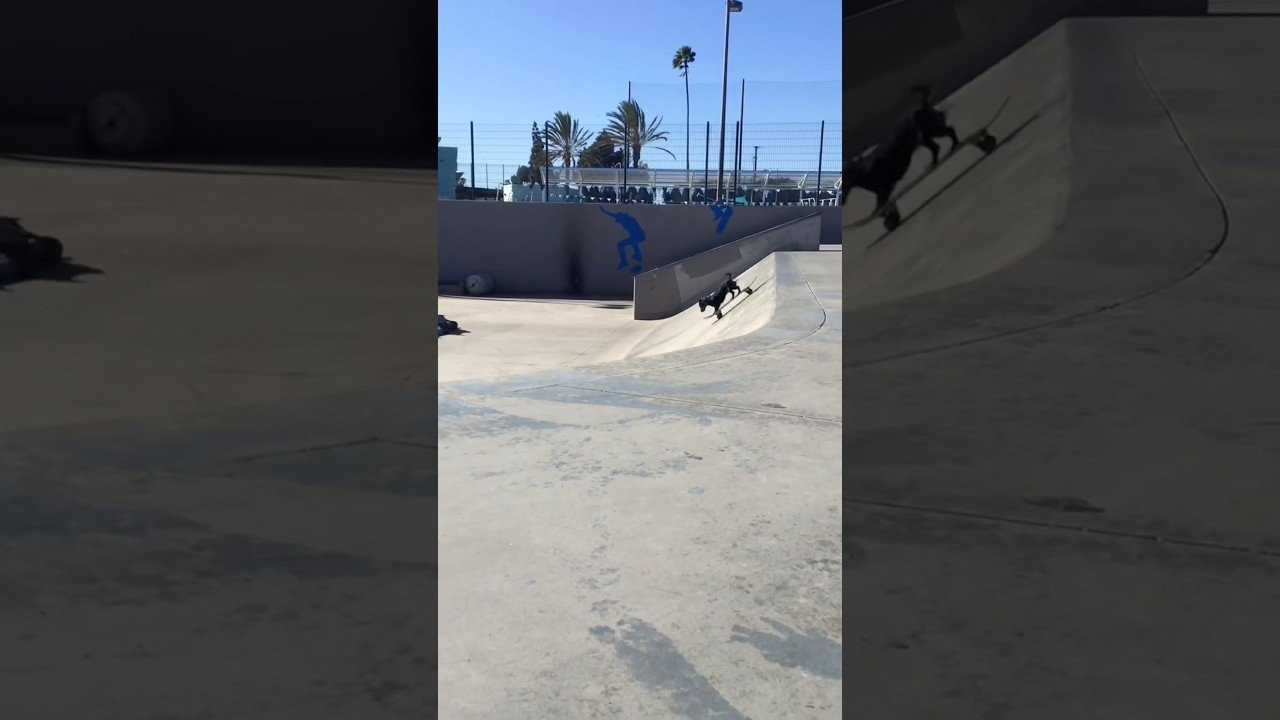 Follow the dog for more 👉 https://www.instagram.com/rowdy_dachshund?igsh=NTc4MTIwNjQ2YQ==