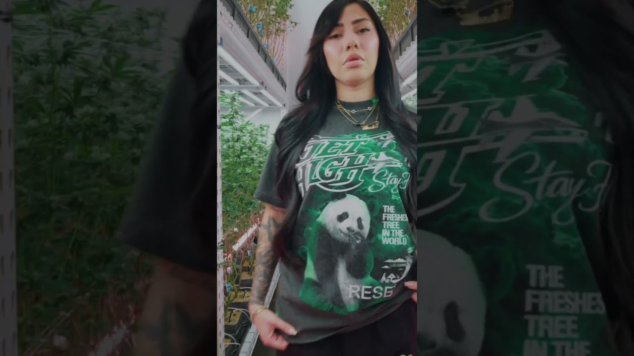 Enjoy the videos and music you love, upload original content, and share it all with friends, family, and the world on YouTube.