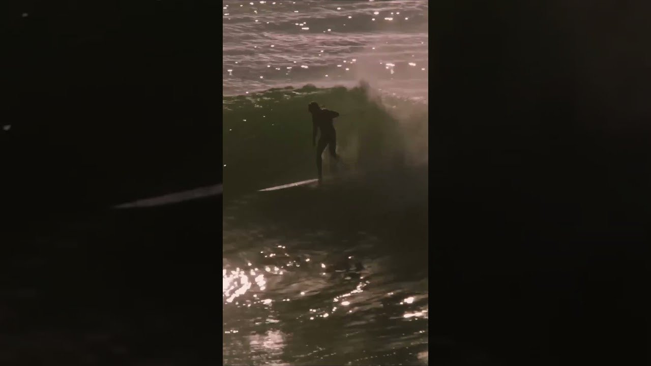 Wild Life is a surfing film by Wild Things featuring Kai Ellice-Flint, Ellis Ericson, Jaleesa Vincent,Will Jones, Tamzen Bienefelt, Madi Farrelly, Andy Findlay, Jack Lynch, Sarah Tanooki, Myles Doughman and Nick Melanson.<br /> <br />The plan was simple—post up at a beachbreak somewhere and see how hard we could push the boards. There were fresh models from Gato Herói, BMT, and Ellis Ericson to test. A loose crew of Wild Things friends and family floated down the coast before we had any idea where we were staying. Improvisation is often rewarded! Somehow we found an old red-brick castle perched up high on the dunes, in front of a pumping A-frame peak. <br /><br />- Produced by<br />Wild Things (https://www.instagram.com/wildthingsgallery/)<br /><br />- Filmed by<br />Georde Grigor (https://www.instagram.com/grigs_/)<br />Clementine Bourke (https://www.instagram.com/clementinebourke/)<br /><br />- Edited by <br />MALLMIC (https://www.instagram.com/mallmic/)<br /><br />- Surfers<br />Kai Ellice-Flint (https://www.instagram.com/kaielliceflint/)<br />Ellis Ericson (https://www.instagram.com/ellisericson/)<br />Jaleesa Vincent (https://www.instagram.com/jaleesavincent/)<br />Will Jones (https://www.instagram.com/willjonees/)<br />Tamzen Bienefelt (https://www.instagram.com/i_love.dolphins/)<br />Madi Farrelly<br />Andy Findlay<br />Jack Lynch (https://www.instagram.com/jack_lynch/)<br />Sarah Tanooki (https://www.instagram.com/sarahtanooki/)<br />Myles Doughman (https://www.instagram.com/mylesdoughman/)<br />Nick Melanson (https://www.instagram.com/nickmelanson/)<br /><br />- Music<br />“Animals” by Mini Skirt (https://www.instagram.com/miniskirt666/)<br />“Spring drills” by Solo Career (https://www.instagram.com/solo.career/)<br />“Harmless Activity” by R.M.F.C (https://www.instagram.com/r.m.f.c.fanclub/)<br /><br />- Location<br />Australia<br /><br />- About Wild Things @wildthings_gallery <br />Wild Things is a proudly Australian, surfer-owned brand based in Byron Bay, NSW. It is an extremely diverse company—Wild Things is a surf hardware brand (huge range of fins, clothing and accessories), an alternative boardstore with 100+ boards in stock, and the trusted Australian distributor for Gato Herói, CREME, Lovemachine, Brown Microwave Television, True Ames, Octopus and Magma Wetsuits. <br /><br />The Wild Things fin team features some of Australia's best and most creative free-surfers, including Creed McTaggart, Chippa Wilson, Dion Agius and Jaleesa Vincent. Wild Things has a wealth of experience in the industry, with a huge offering of alternative surf fins including signature ranges from Kai Ellice-Flint and the Fitz brothers. There are single fins, twins, twinzers, thrusters, 2+1s and quads in all colours of the rainbow. <br /><br /><br />#surfing #australia #wildthings<br /><br />*****<br />🔗Follow us on<br />- Instagram: https://www.instagram.com/nobody_surf/<br />- Website: https://nobodysurf.com<br />- iOS App: https://apps.apple.com/us/app/id1146730002<br /><br />*****<br />NobodySurf / REBLUE Inc. has the official rights to distribute this video on YouTube.<br />For inquiries, please get in touch with info@nobodysurf.com<br /><br />© 2015 - 2026 NobodySurf / REBLUE Inc. All Rights Reserved.