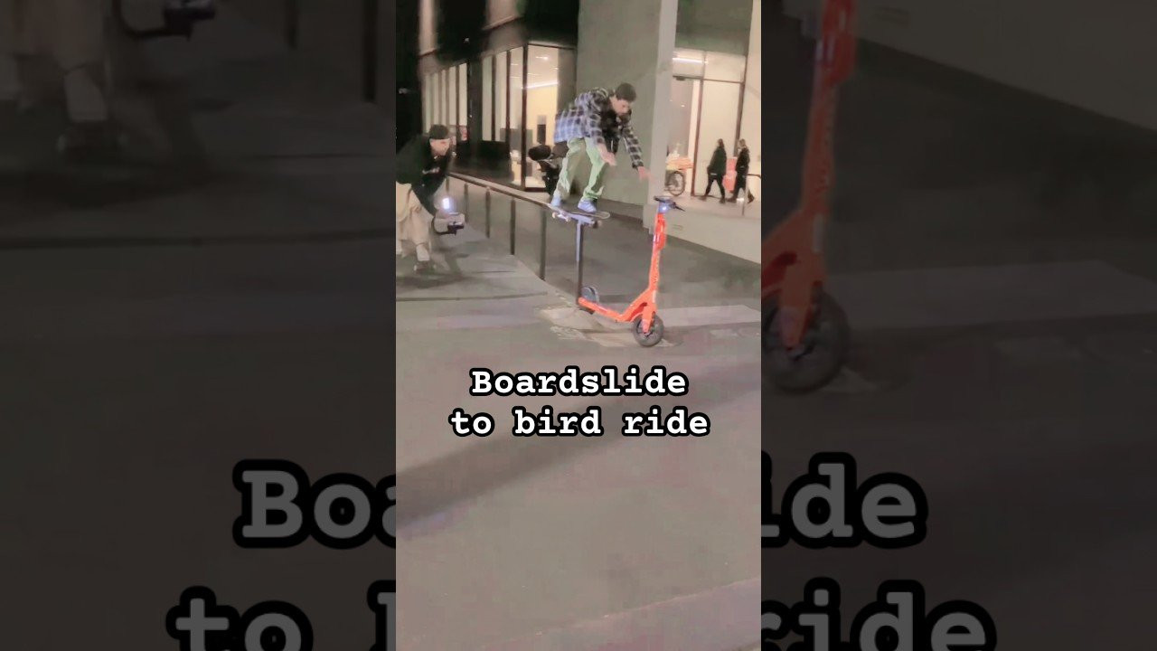 Skatebirding?? 🛹🦜<br /><br />Follow em! 👉 https://www.instagram.com/blaizikent?igsh=NTc4MTIwNjQ2YQ==