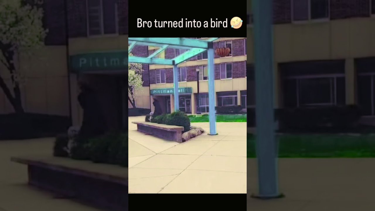 Howd he do that? 🤯😂<br /><br />Follow em! 👉 https://www.instagram.com/seanleeth?igsh=NTc4MTIwNjQ2YQ==
