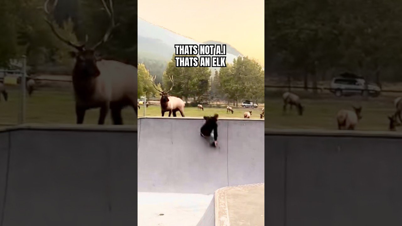 WHAT WOULD YOU DO?! 😮🤷🏻‍♂️<br /><br />Follow em! 👉 https://www.instagram.com/jakubphomas?igsh=NTc4MTIwNjQ2YQ==
