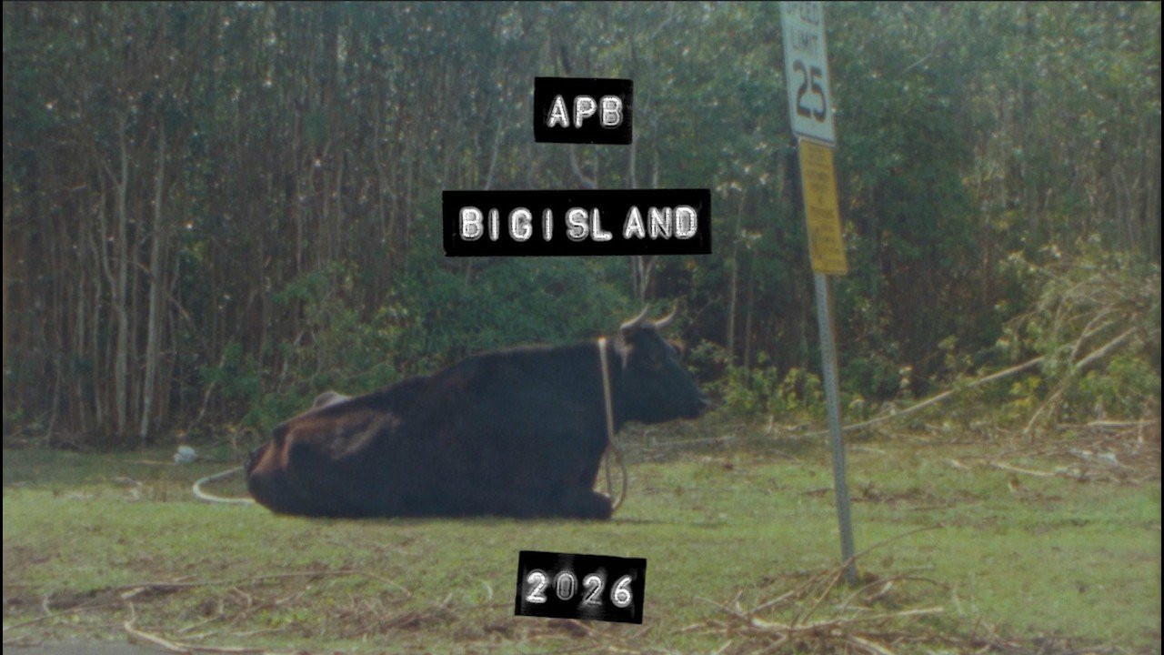 APB made 24 years old in February so we wen' go big! Big Island that is. <br /><br />Featuring these Bastards - Noah Brug, Lukas Miller, Shota Kubo, Ryden Yagi, Max Navid-Oster, Steven Do, Bong Gause, JC III, Tyler Ebisuya, Danny Hamaguchi, Kaikea Kimura, Conor McGivern, & Chad Hiyakumoto<br /><br />Filmed by - Kale Ka'aikala, Conor McGivern, Jordan Cheng<br />Edited by - Kale Ka'aikala<br /><br />Mahalos to Oasis crew, Obake, Kenny, Soup, Brandon, and all the locs who showed aloha and shared their ʻāina and love for skateboarding. A hui hou.
