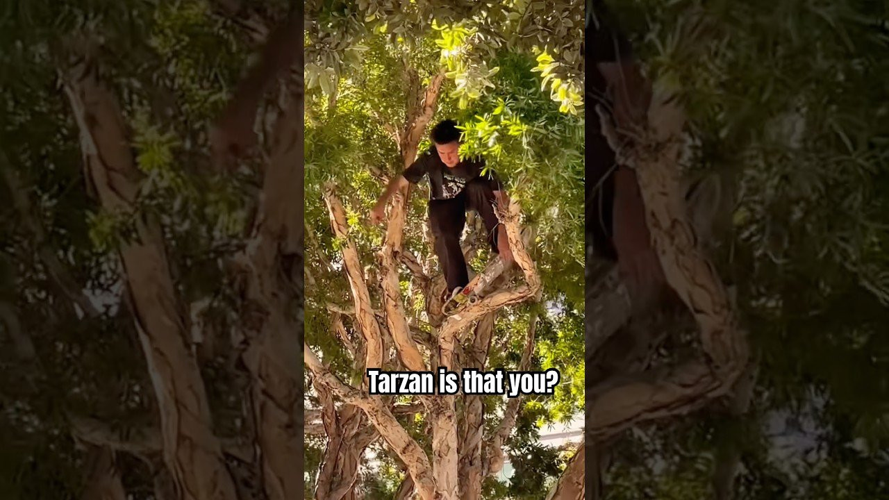 INSANE MAN NOSEPICKS FROM TREE 🌲☠️<br /><br />Follow em! 👉 https://www.instagram.com/frontsidefrank?igsh=NTc4MTIwNjQ2YQ==