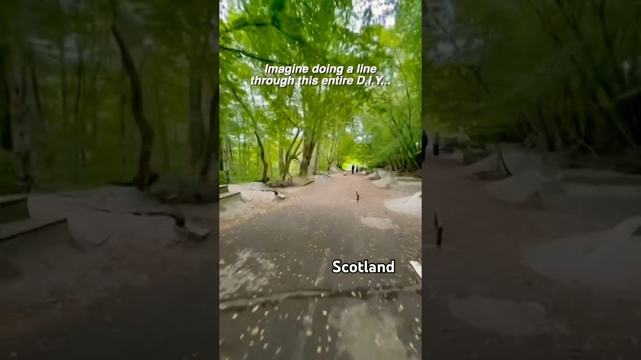 DREAM SPOT IN THE WOODS!! 🤯💤<br /><br /><br />Follow em https://www.instagram.com/talrodkey?igsh=NTc4MTIwNjQ2YQ==