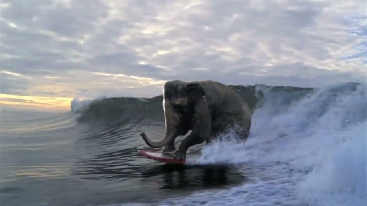 An elephant stands on a surfboard, drops into a wave, and rides it with surprising control.<br /><br />It sounds like the setup for a joke, but in 2010 it became one of the most memorable images in an Accenture advertising campaign.<br /><br />"Surfing Elephant" was created by Y&R New York for Accenture, directed by Thierry Poiraud and produced at Paranoid US in Los Angeles.<br /><br />French visual-effects company BUF handled the digital work that helped turn the impossible idea into a convincing piece of surfing imagery. The commercial was released in May 2010.<br /><br />The message was contained in a simple tagline: "Who says you can't be big and nimble?"<br /><br />The elephant represented Accenture's size, while its ability to ride a wave represented agility and flexibility.<br /><br />Accenture, a global management consulting and technology services company, was using an impossible surfing scene to communicate a very conventional business idea: being large does not necessarily mean being slow or inflexible.<br /><br />From Tiger Woods to a surfing elephant<br /><br />The commercial appeared shortly after Accenture ended its sponsorship relationship with Tiger Woods.<br /><br />Woods had been the central figure in Accenture's advertising for six years, with the company's campaigns using his sporting ability to represent qualities such as precision, performance and agility.<br /><br />Accenture ended the relationship in December 2009 following the scandal surrounding Woods's personal life.<br /><br />The company then introduced a new campaign featuring animals performing improbable feats.<br /><br />One advertisement showed a frog jumping over other frogs with the line "Play quantum leapfrog."<br /><br />The surfing elephant followed the same approach.<br /><br />Rather than abandoning the visual language Accenture had built around Woods, the campaign replaced the golfer with animals that could communicate similar ideas through unexpected situations.<br /><br />For an international consulting company, the approach also had a practical advantage.<br /><br />Animals and simple visual metaphors could communicate across markets without relying heavily on language or a celebrity personality.<br /><br />Making an elephant surf<br /><br />The visual-effects challenge was to make the elephant behave like a surfer without making it stop looking like an elephant.<br /><br />BUF described the project as part of its "plausible unreality" work.<br /><br />The company wanted to give the animal the physical dynamics of a surfer while retaining its characteristic qualities of heaviness, slowness, and distinctive movement.<br /><br />That balance was important.<br /><br />If the elephant moved like a lightweight human athlete, the illusion would immediately lose its appeal.<br /><br />Instead, its movements remain heavy and slightly awkward, creating the impression of an enormous animal trying to maintain its balance on a surfboard.<br /><br />BUF had to integrate the computer-generated elephant with filmed ocean elements, including waves, foam and spray.<br /><br />Matching the CG character to the movement and physical appearance of the water required careful compositing and effects work.<br /><br />The production also used practical elements. According to effects company Anatomorphex, mechanical elephant legs were filmed underwater in a tank to create realistic footage of the animal paddling through the water.<br /><br />For other shots, a real elephant was filmed on dry land while water splashes and other elements were later combined with the ocean footage and CG surfboard.<br /><br />The finished commercial therefore combined live-action photography, practical effects, computer animation and compositing.<br /><br />An elephant in the lineup<br /><br />The surfing itself provides the commercial's central visual joke, but it also makes the business metaphor immediately understandable.<br /><br />There is no obvious physical object that represents management consulting.<br /><br />Instead, Accenture showed something enormous and apparently unsuited to surfing performing an activity associated with balance, timing and agility.<br /><br />The result is deliberately absurd, but the visual language is simple enough to work almost anywhere.<br /><br />An elephant is big. A surfer needs to be nimble.<br /><br />Put the two together, and the advertising message requires very little explanation.<br /><br />The commercial also demonstrates how much visual-effects technology had evolved by the end of the 2000s.<br /><br />The objective was not to make a cartoon elephant surf, but to create the temporary illusion that a real elephant could actually be in the water.<br /><br />That approach is what made the spot memorable. The animal remains unmistakably elephantine even while doing something completely outside its natural abilities.<br /><br />More than a decade later, the basic image still needs almost no explanation.<br /><br />There is an elephant, there is a surfboard, and there is a wave. Somehow, the elephant looks like it belongs there.<br /><br />#accenture #surfingelephant #elephant #commercials #advertising #surf #surfing