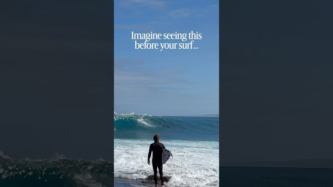 Enjoy the videos and music you love, upload original content, and share it all with friends, family, and the world on YouTube.