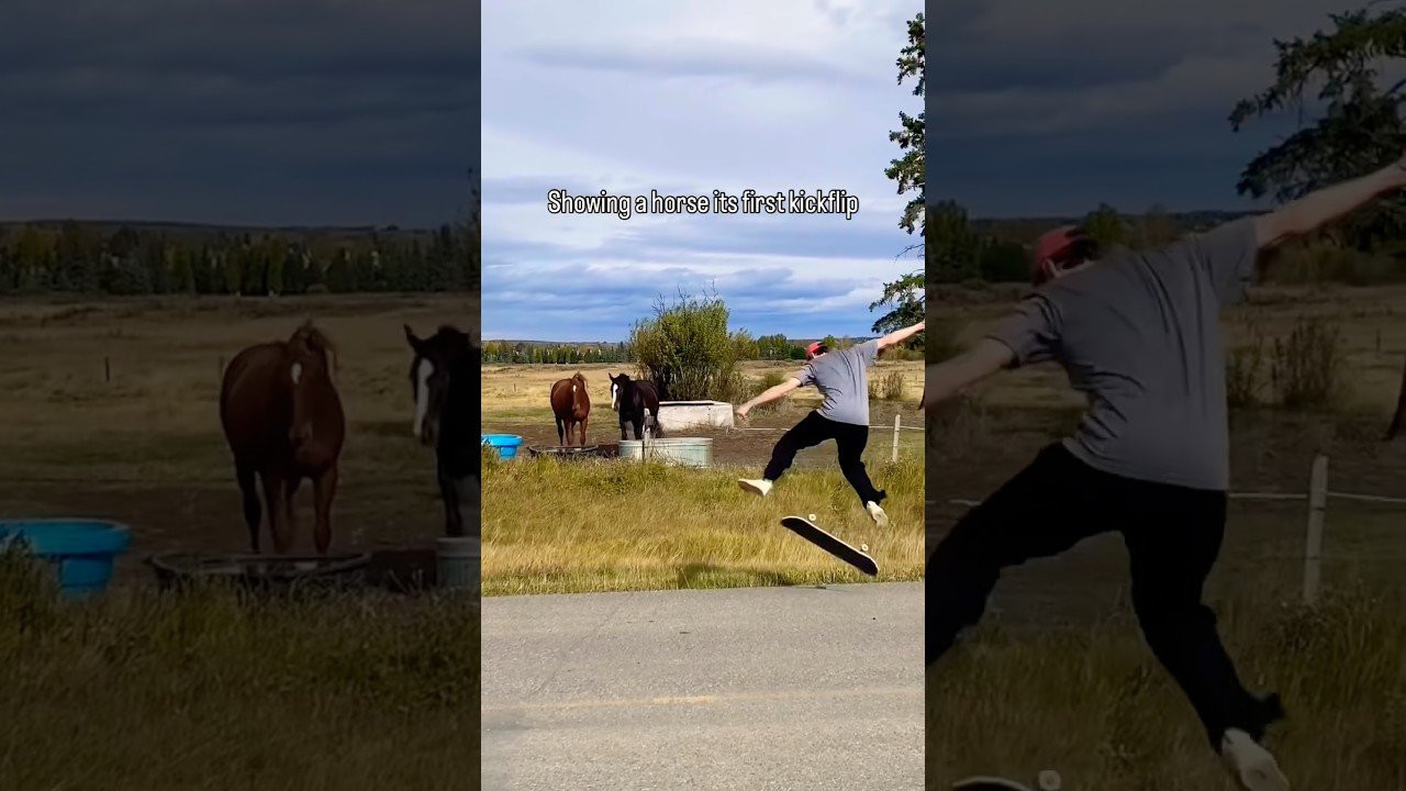 Showing a horse its first kf 🤷🏻‍♂️😂<br /><br />Tag em in the comments!<br /><br />#shorts #shortvideo #skateboarding