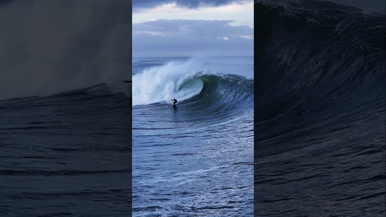 Surfer - Robbie Goodwin