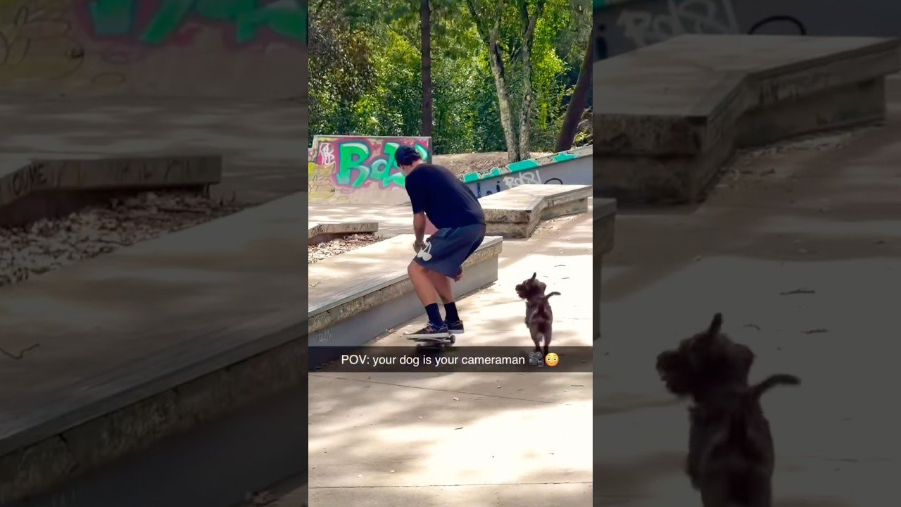 THAT MY DOGGG!! 🛹😱<br /><br />Follow em 👉 https://www.instagram.com/gustavoribeiro?mdxt=NTc4MTIwNjQ2YQ==<br /><br />#shorts #shortvideo #skateboarding