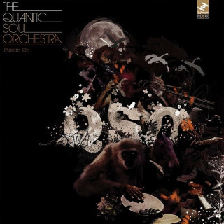Introducing... The Quantic Soul Orchestra