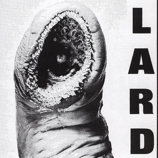 The Power Of Lard