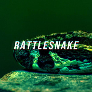 Rattlesnake - Drill Instrumental