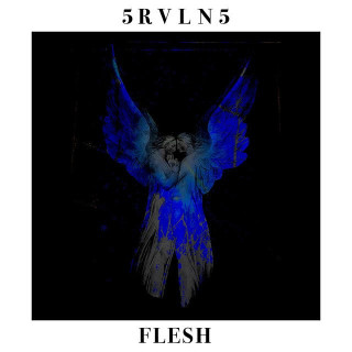Flesh [Instrumental] - David Bottrill Mix