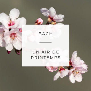 Goldberg Variations, BWV 988: Var. 1 a 1 Clav.
