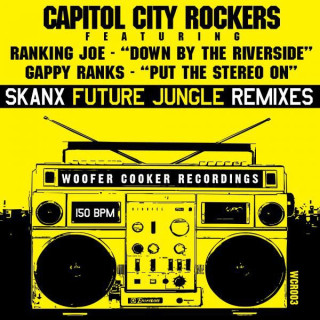 Put The Stereo On (feat. Gappy Ranks) - SKANX Remix (vocal)