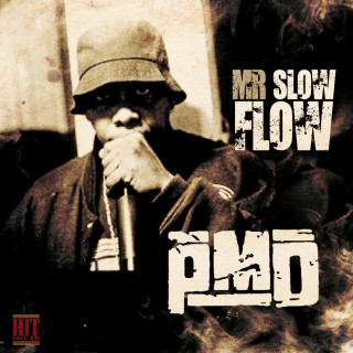 Mr. Slow Flow Remix - prod. Sid Roams