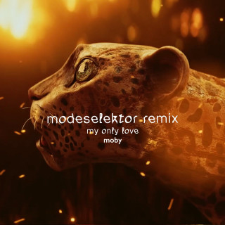 My Only Love (feat. Mindy Jones) - Modeselektor Remix