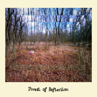 Forest Of Reflection