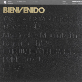 Bienvenido feat. Martin Ferres