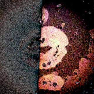 fentanyl tester (no peggy)